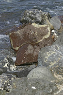 Rocks of the Clyde